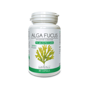 ALGA FUCUS