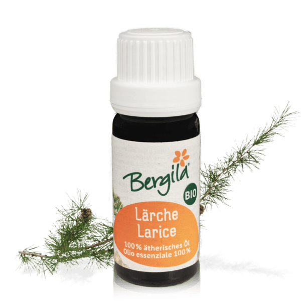 larice olio essenziale bio
