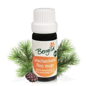 pino mugo olio essenziale bio