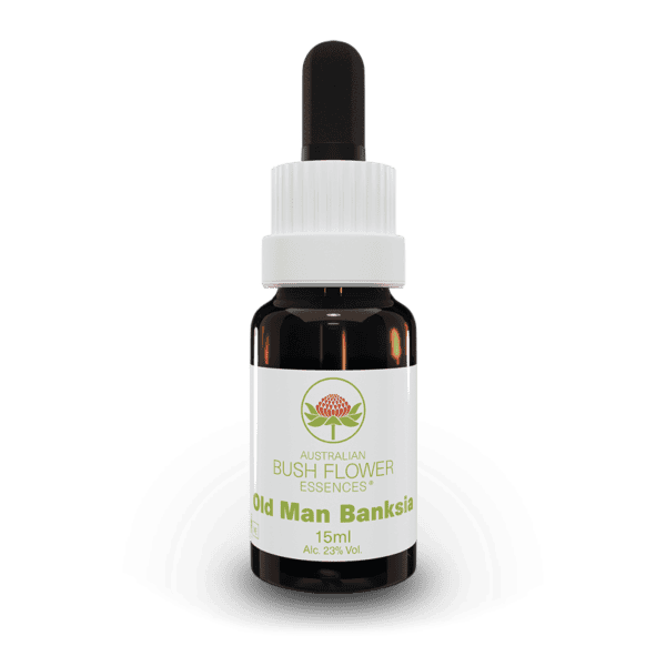 Old Man Banksia Australian Bush Flower Essences