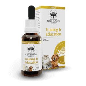 Training & Education Australian Bush Flower Essences