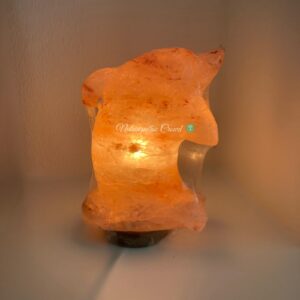 Lampada di Sale rosa dell'Himalaya - Delfino