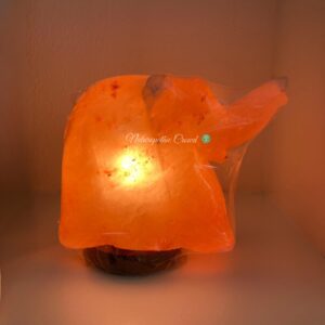 Lampada di Sale rosa dell'Himalaya - Elefante